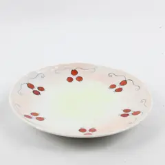 Rosenthal Versailles Bavaria Painted Round Ceramic Bread Plate 7" Diameter