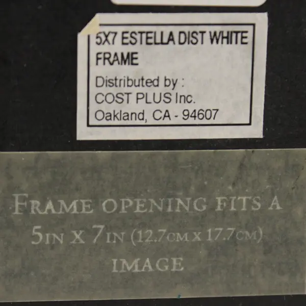 World Market Estella Distressed White Wood Picture Frame Fits Oval 5"x7" Picture