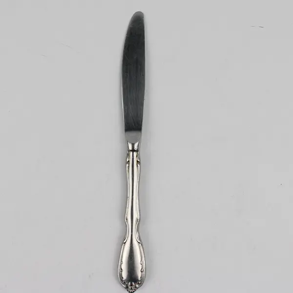 Vintage Noritake Serenade Pattern Dinner Knife 18/8 Stainless 8.5 Inches