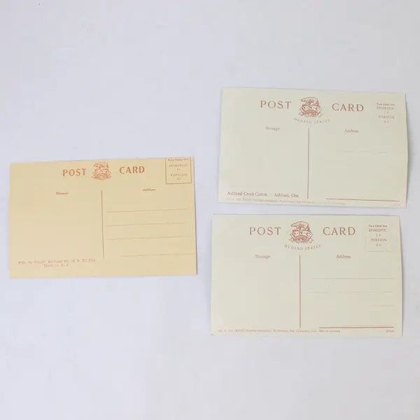 Lot Of 3 Vintage Ashland Creek Oregon Litho Postcards Pacific Novelty Company