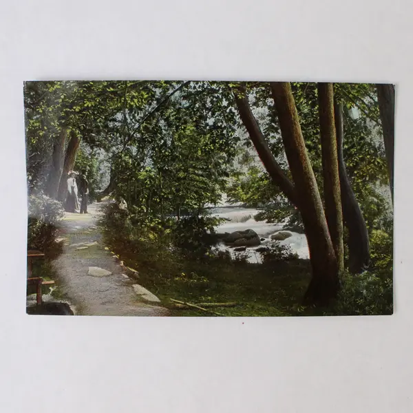 Lot Of 3 Vintage Ashland Creek Oregon Litho Postcards Pacific Novelty Company