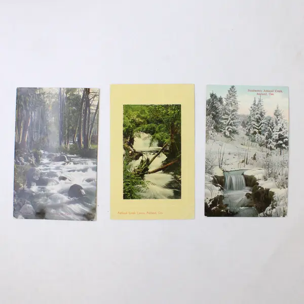 Lot Of 3 Ashland Creek Oregon Litho Postcards Circa 1910 