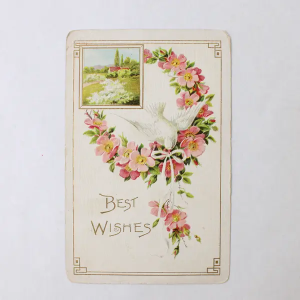 Lot Of 3 Vintage Best Wishes Flowers Postcards 1910s Double Postmarks