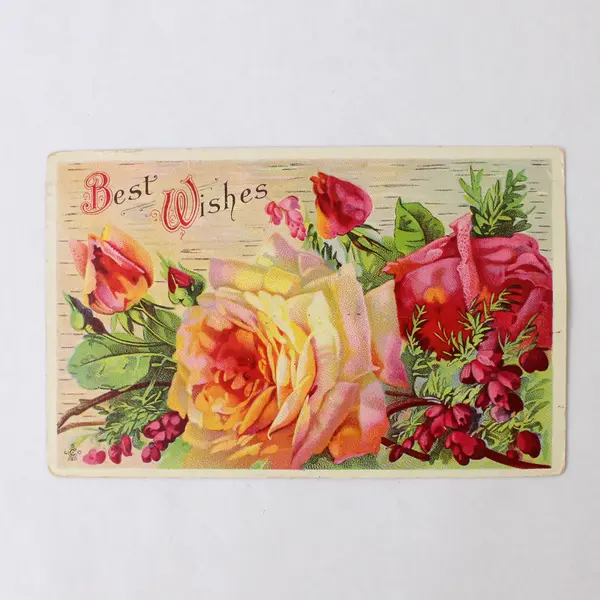 Lot Of 3 Vintage Best Wishes Flowers Postcards 1910s Double Postmarks