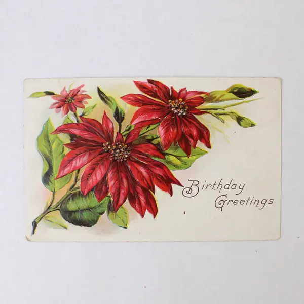 Lot Of 3 Vintage Circa 1910 Birthday Greetings Flowers Postcards