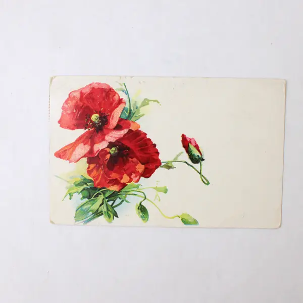 Lot Of 2 Vintage 1910 Floral Design Greeting Card Postcards
