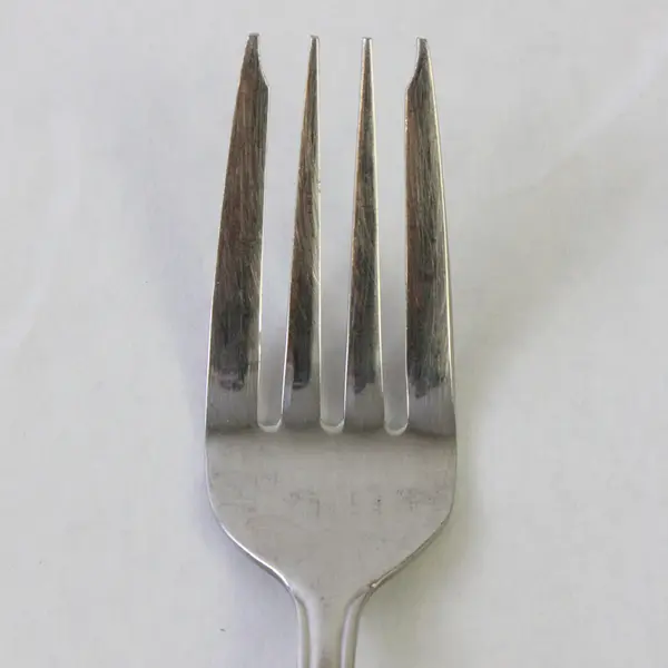 Lot of Four 18/8 Stainless Salad Forks by Pfaltzgraff in the Pattern Hibiscus