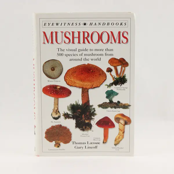 Mushrooms A Visual Guide Thomas Laessoe Gary Lincoff 1998 Softcover Good