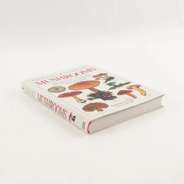 Mushrooms A Visual Guide Thomas Laessoe Gary Lincoff 1998 Softcover Good