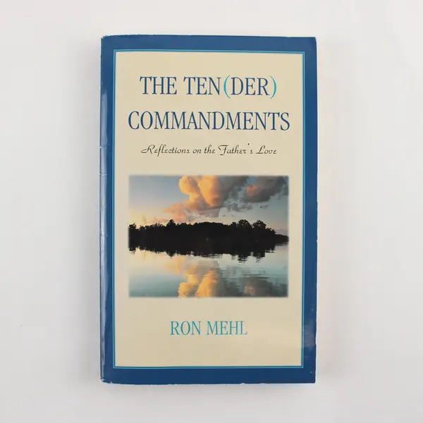 Vintage The Ten (Der) Commandments by Ron Mehl 1998 Paperback Good
