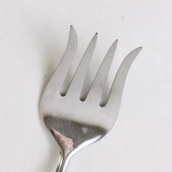 Retroneu 18/10 Stainless Steel Serving Fork 9 In