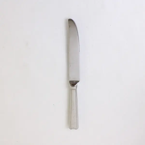 Retroneu Carlton 9" Stainless Steel Dinner Knife 