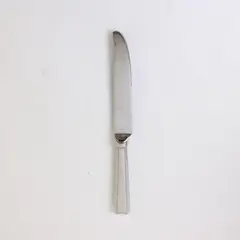 Retroneu Carlton 9" Stainless Steel Dinner Knife 