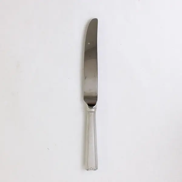 Retroneu Carlton 9" Stainless Steel Dinner Knife 