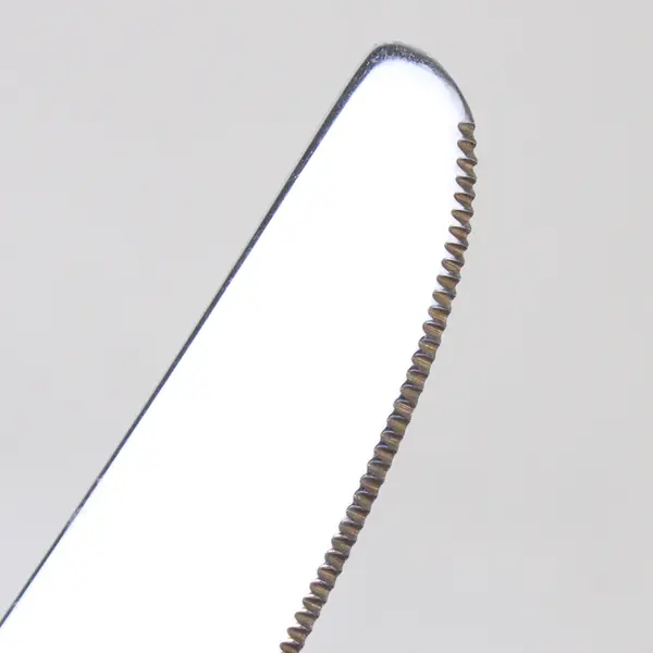 Retroneu Carlton 9" Stainless Steel Dinner Knife 