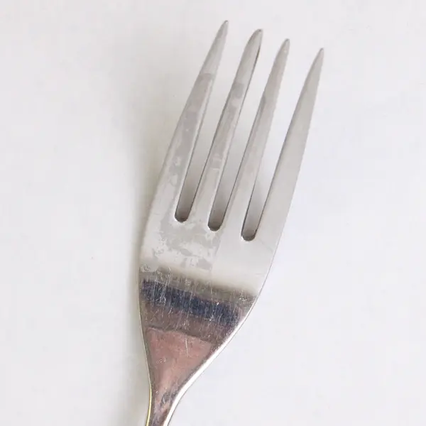 Reed & Barton Evening Mood Stainless Steel Dinner Fork 7.5in