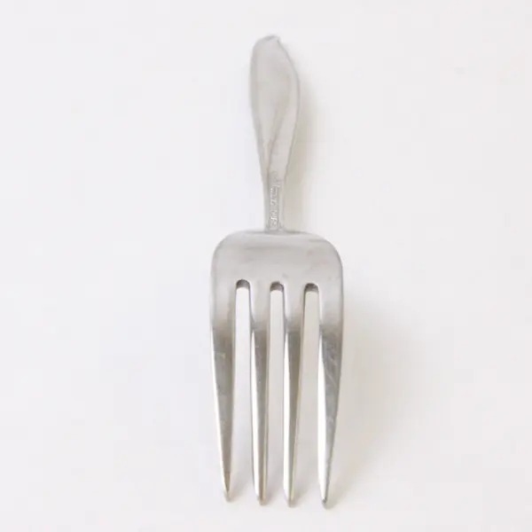 Reed & Barton Evening Mood Stainless Steel Dinner Fork 7.5in