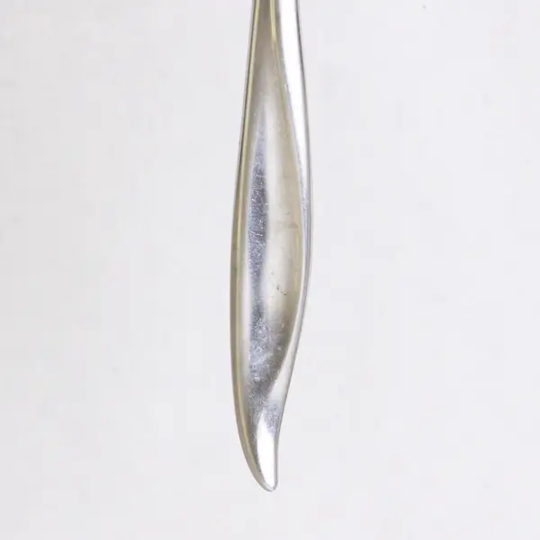 Reed & Barton Evening Mood Stainless Steel Dinner Fork 7.5in