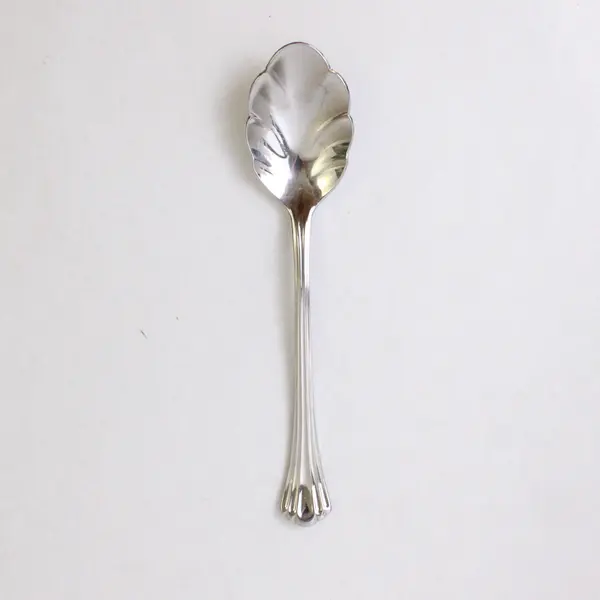 Reed & Barton Esteril Stainless Steel Sugar Shell Spoon 6-3/8"