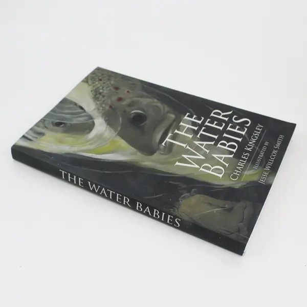 The Water Babies PB Book, 2015 Charles Kingsley