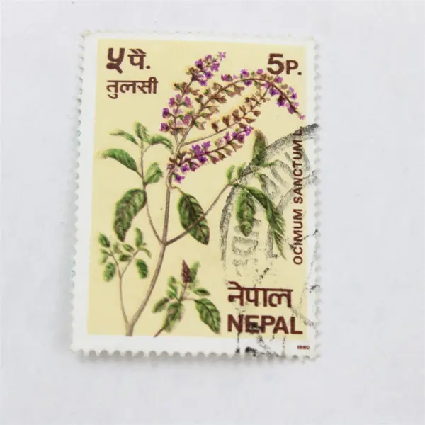 Lot Of 8 Nepal Commemorative Stamps Canceled To Order 1970s 1980s