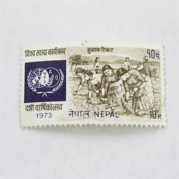 Lot Of 8 Nepal Commemorative Stamps Canceled To Order 1970s 1980s