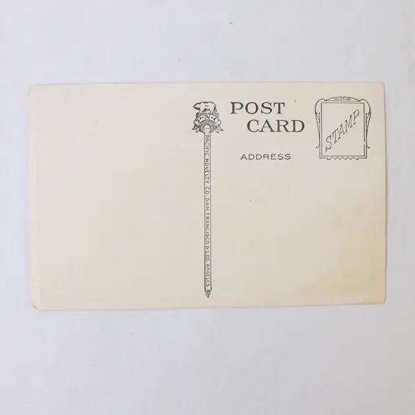 Lot Of 2 Postcards Steinhart Aquarium San Francisco Woodland Park Elk Seattle 