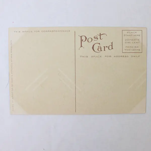 Lot Of 2 Postcards Steinhart Aquarium San Francisco Woodland Park Elk Seattle 