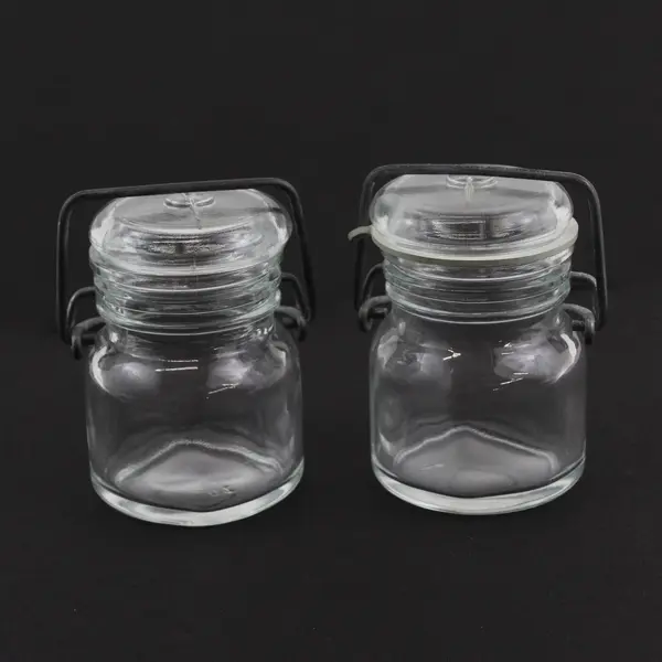  2 Vtg Clear Glass Half Pint Narrow Mouth Canning Jars With Wire Bail Glass Lids