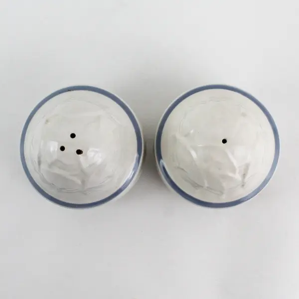 Cordella Bluet Stoneware Salt and Pepper Shaker Set