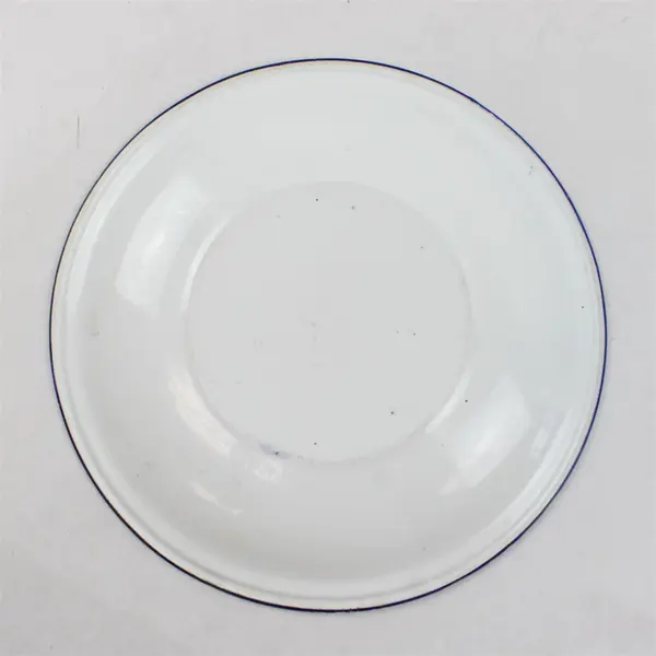 Vintage Blue & White Enamelware Plate 10.5in Rustic Collectible