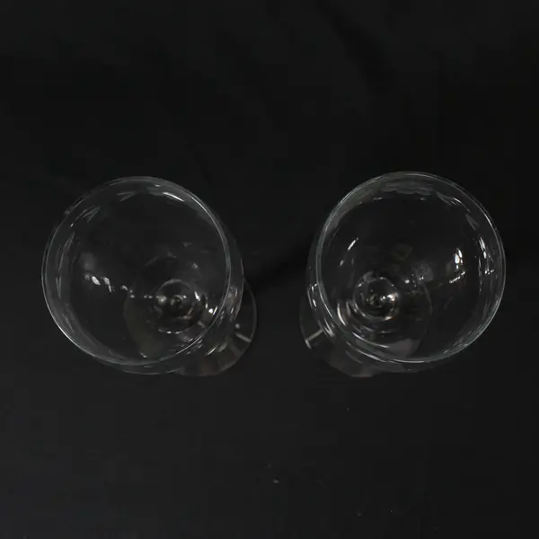 Set of 2 Crystal Etched Flower And Vine Wine Glasses 7"