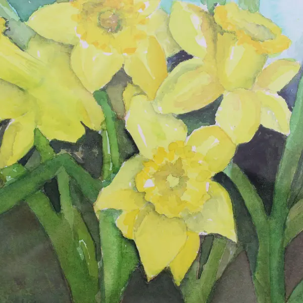 Signed Daffodil Watercolor Landscape Framed & Matted 13.5" x 16.5"