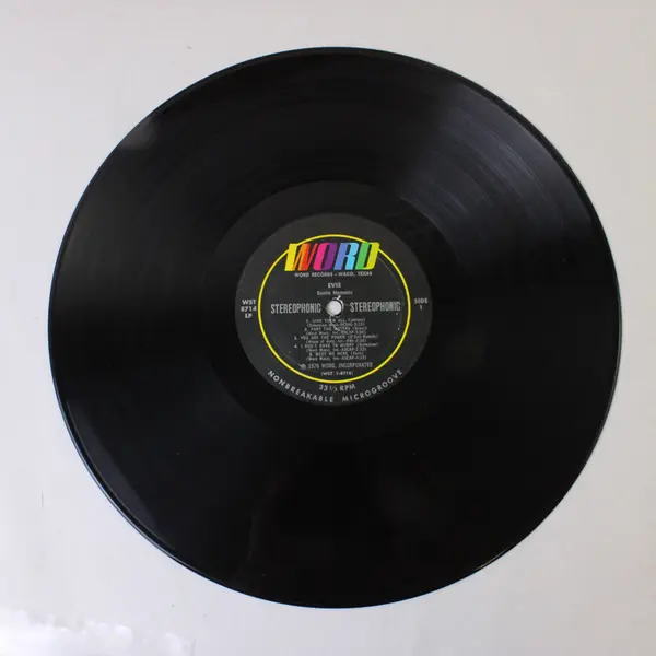 Evie Gentle Moments 12" Vinyl Record