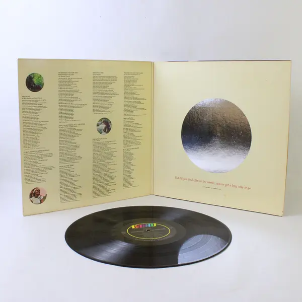 Evie Mirror 12" Vinyl Record