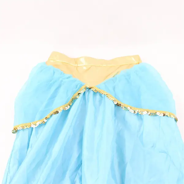 Little Adventures Princess Jasmine Costume Girls' 3-5