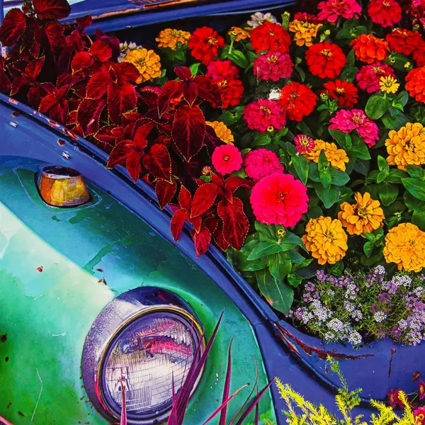Springbok 500 Piece Jigsaw Puzzle Garden Bug 2020