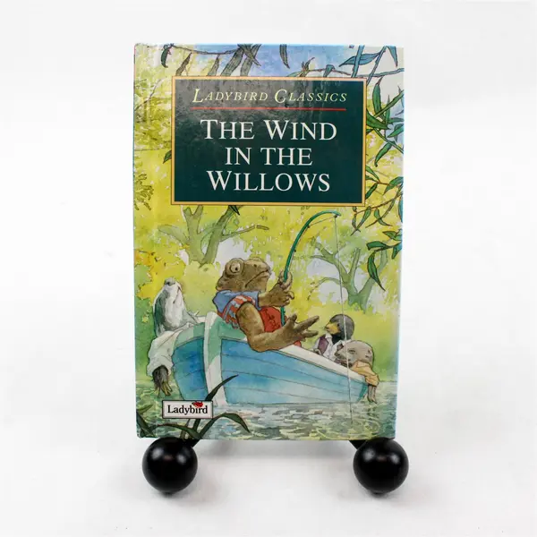 Lot of 2 Children's Books: The Wind in the Willows & What Was That!