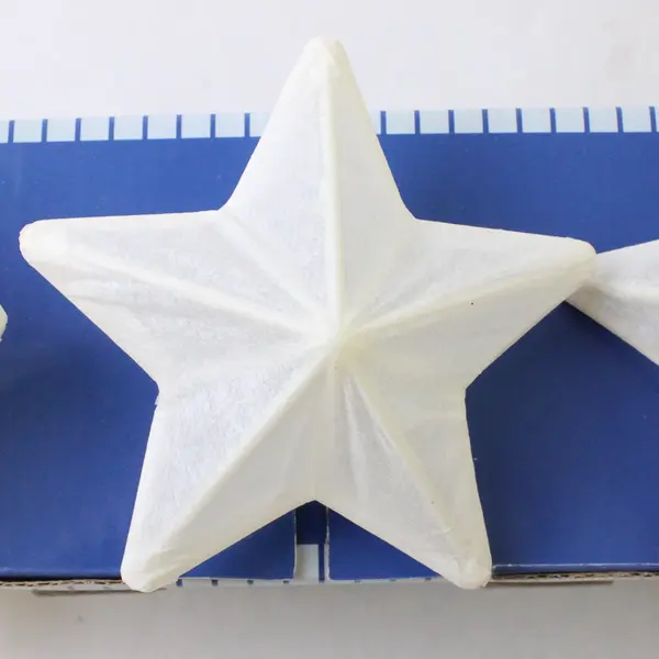 Holliston Hill Star-Shaped Outdoor String Lights TESTED