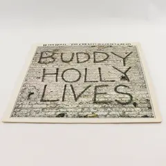 Buddy Holly Lives 20 Golden Greats  12"Vinyl Record 