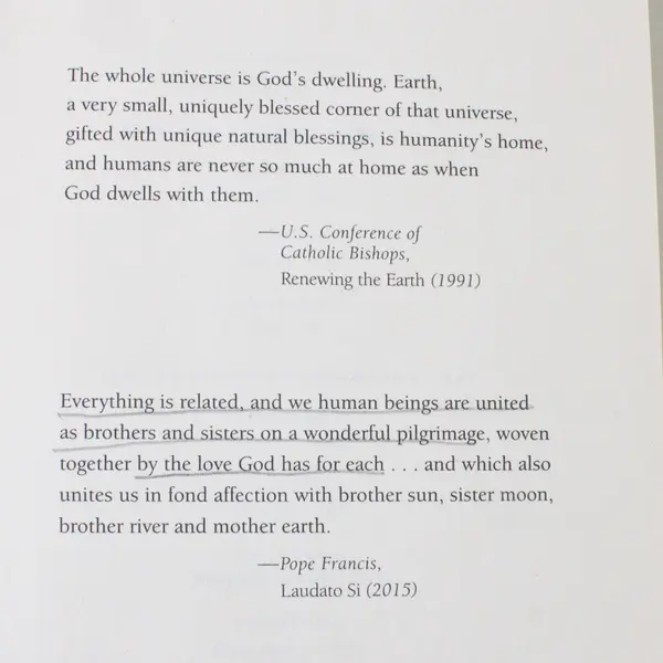 Grounded: Finding God in the World A Spiritual Revolution Diana Butler Bass 2015
