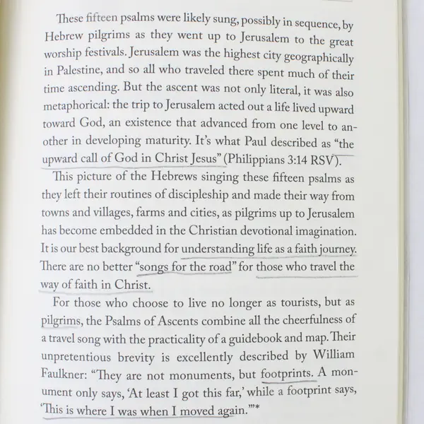 A Long Obedience in the Same Direction Bible Study Eugene H Peterson 2021 PB