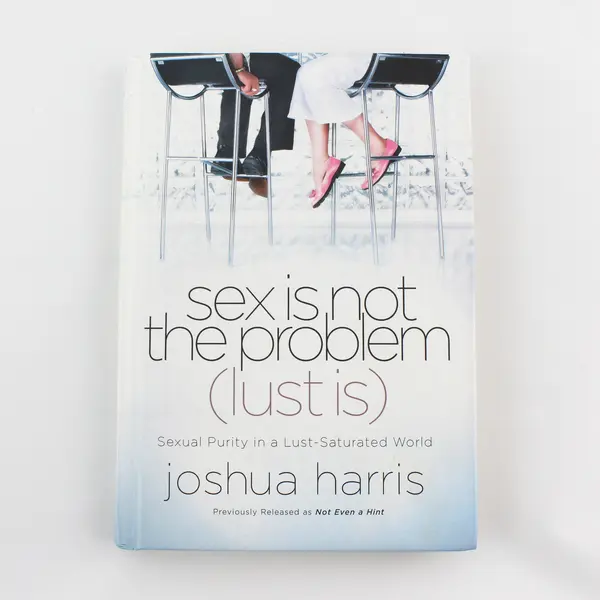 Sex Is Not the Problem (Lust Is) by Joshua Harris 2003 Hardcover Good