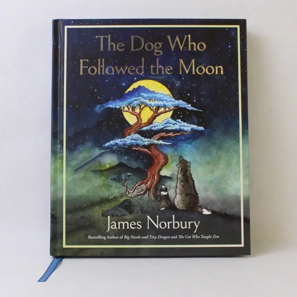 The Dog Who Followed the Moon by James Norbury 2024 Hardcover 1st Edition Good
