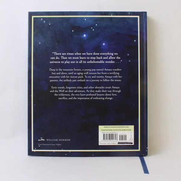 The Dog Who Followed the Moon by James Norbury 2024 Hardcover 1st Edition Good