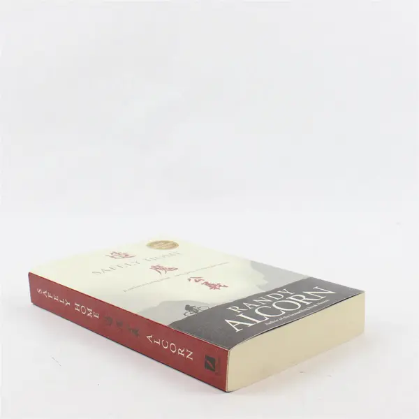 Safely Home by Randy Alcorn 2011 Novel Paperback Tyndale House Publishers Good