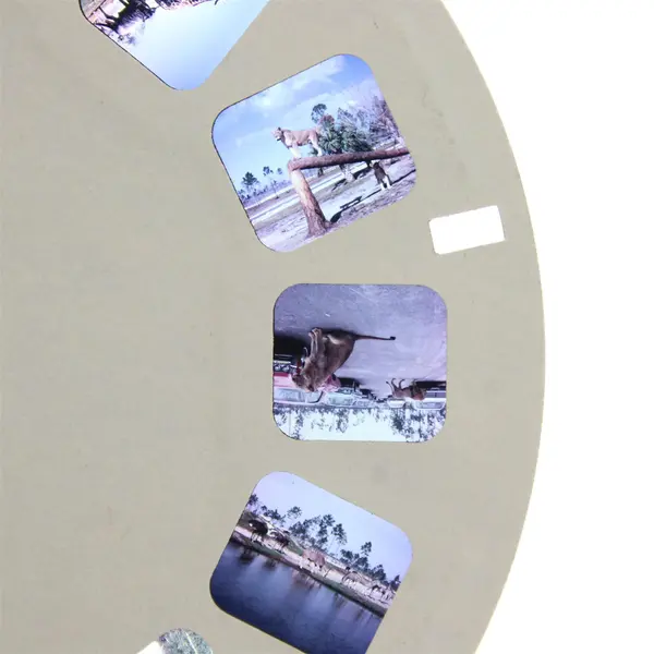 Vintage View-Master A9832 Lion Country Safari Reel 2 West Palm Beach Florida