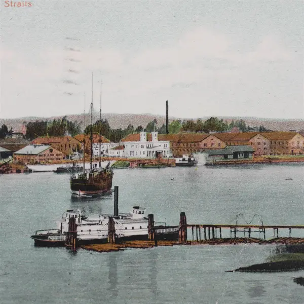 Vintage 1908 View Mare Island And Mare Island Straits California Litho Postcard
