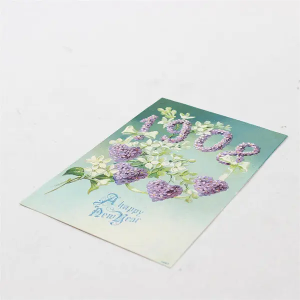 Vintage A Happy New Year 1908 Floral Embossed Postcard