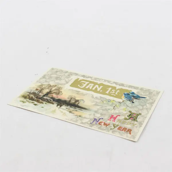 Vintage A Happy New Year Jan 1st Embossed Greeting Postcard